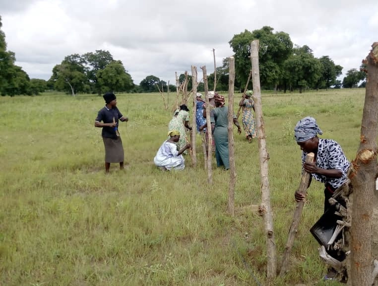 Ladies farming 1