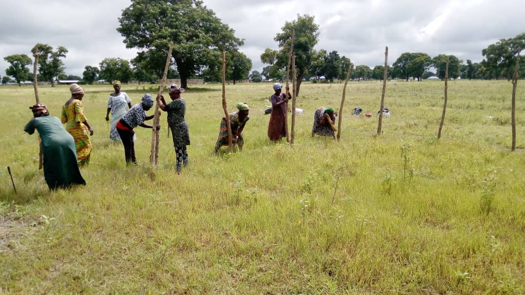 Ladies farming 2