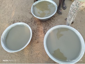 Murky water collected before the borehole