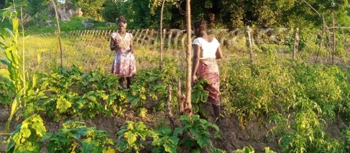 Ladies on the farm