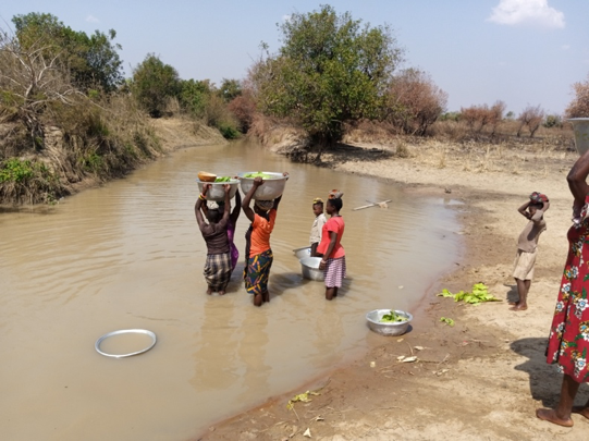 Long walk for water